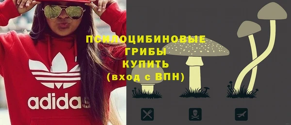 сатива Армянск
