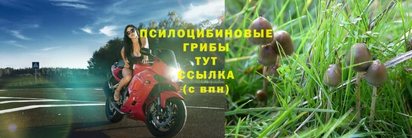 ГАЛЛЮЦИНОГЕННЫЕ ГРИБЫ Арсеньев