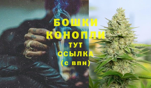 сатива Армянск