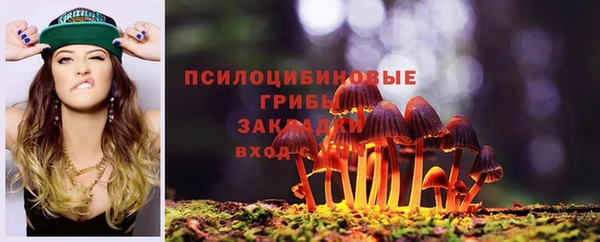 сатива Армянск